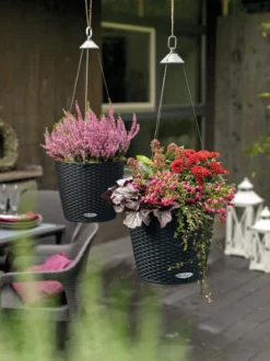 LECHUZA® Kunststoff-Hängeampel Nido Cottage