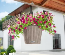 LECHUZA® Kunststoff-Hängeampel Nido Cottage inkl. Pflanzeinsatz, rund, ca. Ø36,3/H24,2 cm