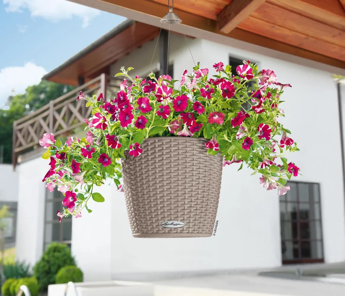 LECHUZA® Kunststoff-Hängeampel Nido Cottage inkl. Pflanzeinsatz, rund, ca. Ø36,3/H24,2 cm