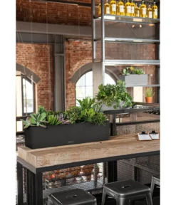 LECHUZA® Kunststoff-Kasten Balconera Stone, rechteckig