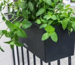 LECHUZA® Kunststoff-Kasten Balconera Stone, rechteckig