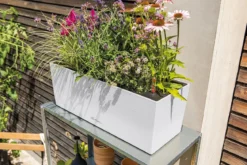 LECHUZA® Kunststoff-Kasten Balconera Stone, rechteckig