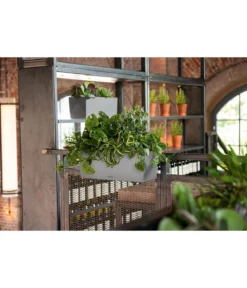 LECHUZA® Kunststoff-Kasten Balconera Stone, rechteckig