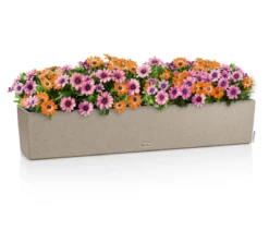 LECHUZA® Kunststoff-Kasten Balconera Stone, rechteckig