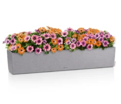 LECHUZA® Kunststoff-Kasten Balconera Stone, rechteckig