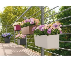 LECHUZA® Kunststoff-Kasten Balconera Color, rechteckig