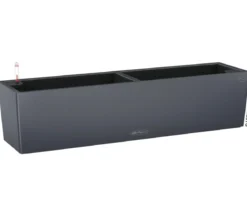 LECHUZA® Kunststoff-Kasten Balconera Color, rechteckig
