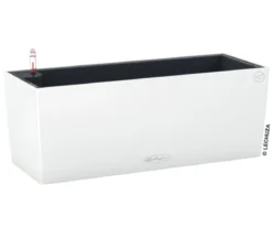 LECHUZA® Kunststoff-Kasten Balconera Color, rechteckig