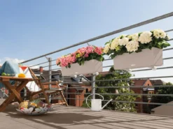 LECHUZA® Kunststoff-Kasten Balconera Color, rechteckig