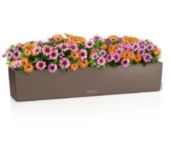 LECHUZA® Kunststoff-Kasten Balconera Color, rechteckig