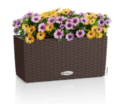 LECHUZA® Kunststoff-Kasten Balconera Cottage, rechteckig