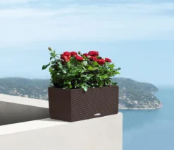 LECHUZA® Kunststoff-Kasten Balconera Cottage, rechteckig