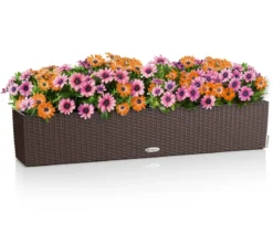 LECHUZA® Kunststoff-Kasten Balconera Cottage, rechteckig