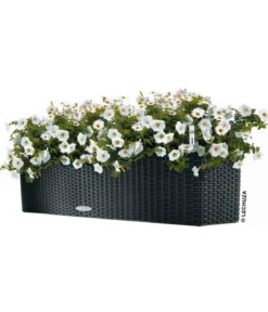 LECHUZA® Kunststoff-Kasten Balconera Cottage, rechteckig