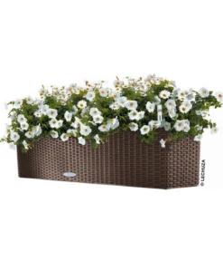 LECHUZA® Kunststoff-Kasten Balconera Cottage, rechteckig