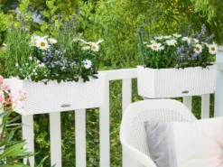 LECHUZA® Kunststoff-Kasten Balconera Cottage, rechteckig