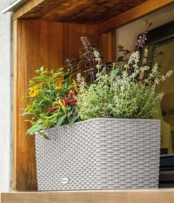 LECHUZA® Kunststoff-Kasten Balconera Cottage, rechteckig