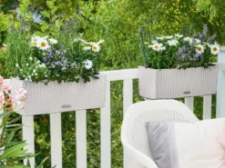 LECHUZA® Kunststoff-Kasten Balconera Cottage, rechteckig