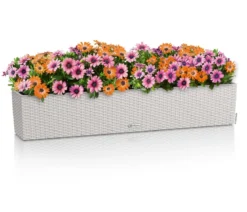 LECHUZA® Kunststoff-Kasten Balconera Cottage, rechteckig