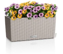 LECHUZA® Kunststoff-Kasten Balconera Cottage, rechteckig
