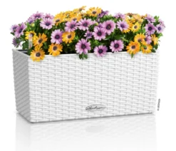 LECHUZA® Kunststoff-Kasten Balconera Cottage, rechteckig