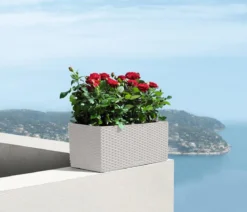 LECHUZA® Kunststoff-Kasten Balconera Cottage, rechteckig