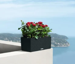 LECHUZA® Kunststoff-Kasten Balconera Cottage, rechteckig