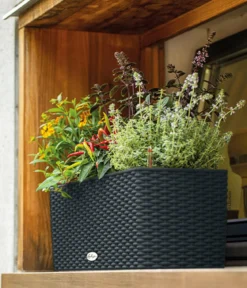 LECHUZA® Kunststoff-Kasten Balconera Cottage, rechteckig
