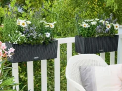 LECHUZA® Kunststoff-Kasten Balconera Cottage, rechteckig