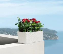 LECHUZA® Kunststoff-Kasten Balconera Cottage, rechteckig