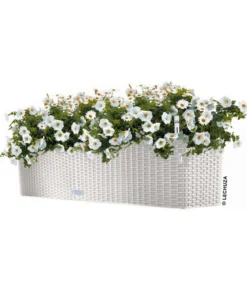 LECHUZA® Kunststoff-Kasten Balconera Cottage, rechteckig
