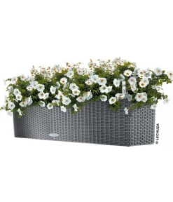 LECHUZA® Kunststoff-Kasten Balconera Cottage, rechteckig
