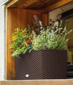 LECHUZA® Kunststoff-Kasten Balconera Cottage, rechteckig