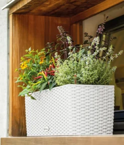 LECHUZA® Kunststoff-Kasten Balconera Cottage, rechteckig