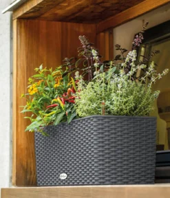 LECHUZA® Kunststoff-Kasten Balconera Cottage, rechteckig
