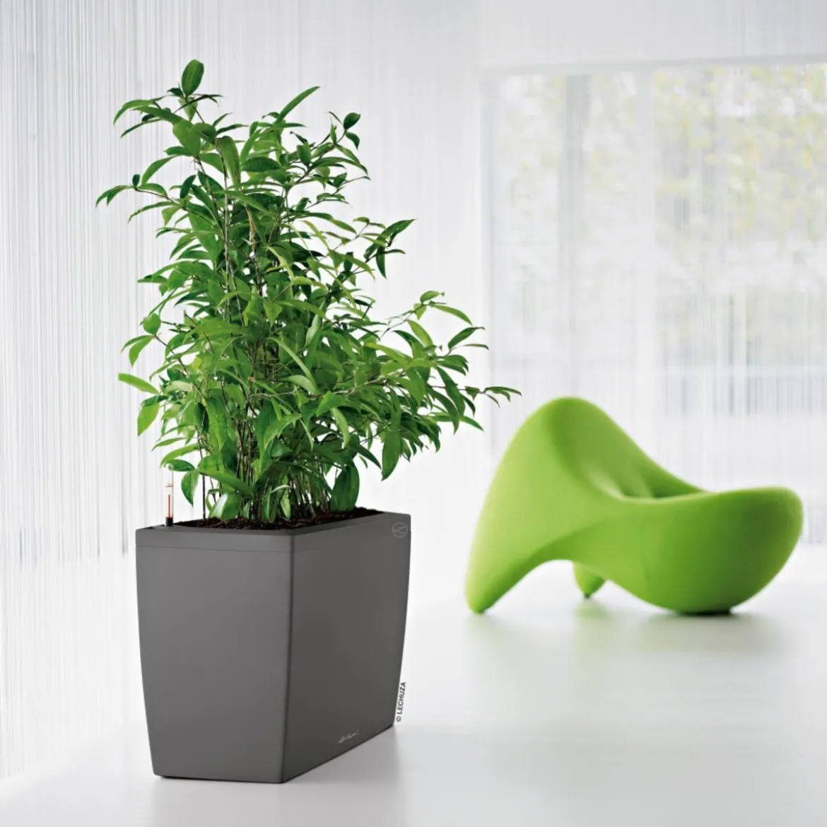 LECHUZA® Kunststoff-Kasten CARARO All-in-One-Set, rechteckig, ca. B75/H43/T30 cm