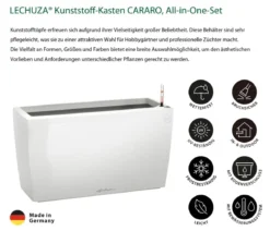 LECHUZA® Kunststoff-Kasten CARARO All-in-One-Set, rechteckig, ca. B75/H43/T30 cm