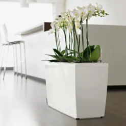 LECHUZA® Kunststoff-Kasten CARARO All-in-One-Set, rechteckig, ca. B75/H43/T30 cm
