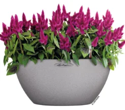 LECHUZA® Kunststoff-Schale 'Cubeto Stone', rund