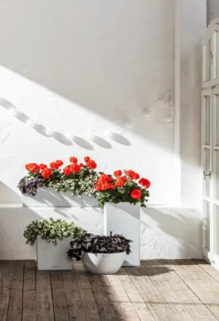 LECHUZA® Kunststoff-Schale 'Cubeto Stone', rund