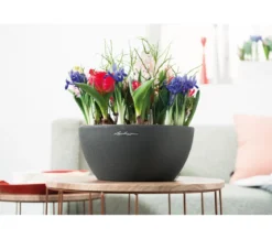 LECHUZA® Kunststoff-Schale 'Cubeto Stone', rund