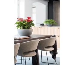 LECHUZA® Kunststoff-Schale 'Cubeto Stone', rund