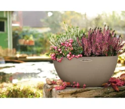LECHUZA® Kunststoff-Schale 'Cubeto Stone', rund