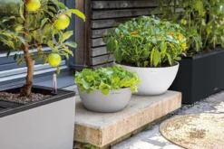 LECHUZA® Kunststoff-Schale 'Cubeto Stone', rund