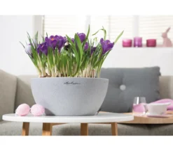 LECHUZA® Kunststoff-Schale 'Cubeto Stone', rund