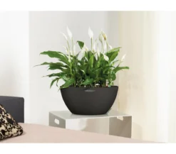 LECHUZA® Kunststoff-Schale 'Cubeto Stone', rund