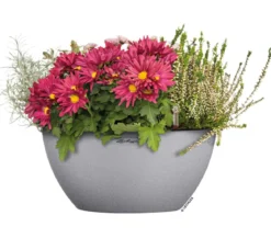 LECHUZA® Kunststoff-Schale 'Cubeto Stone', rund