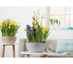 LECHUZA® Kunststoff-Schale 'Cubeto Stone', rund