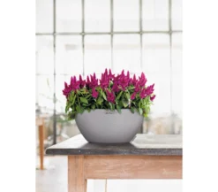 LECHUZA® Kunststoff-Schale 'Cubeto Stone', rund