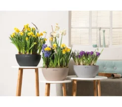 LECHUZA® Kunststoff-Schale 'Cubeto Stone', rund